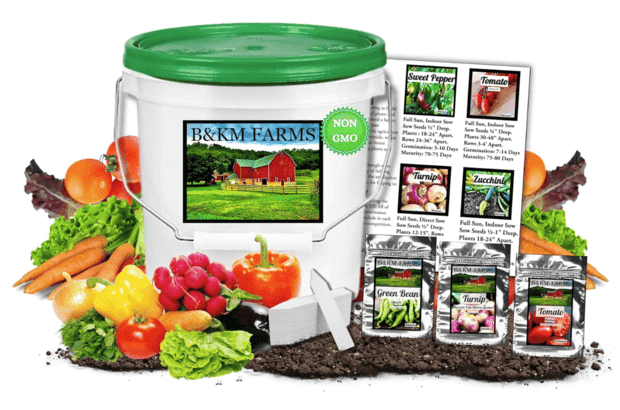 B&KM Farms 20,000+ Survival Seed Kit