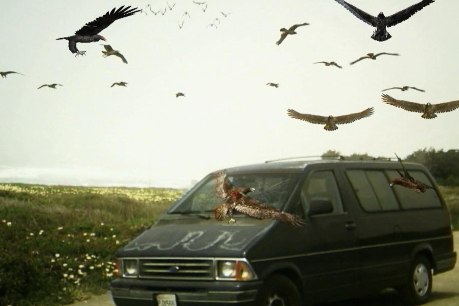 birds in the sky above a minivan