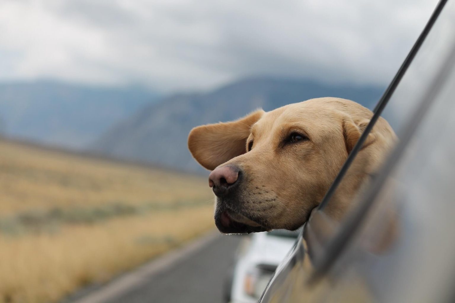 7 Common Road Trip Problems (and How to Avoid Them) - Modded