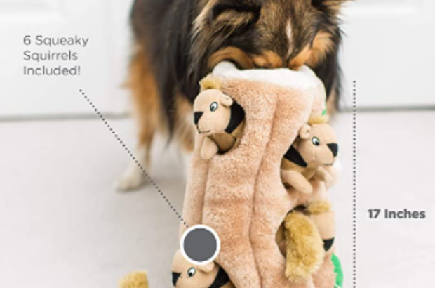 Outward Hound Hide-a-Squirrel