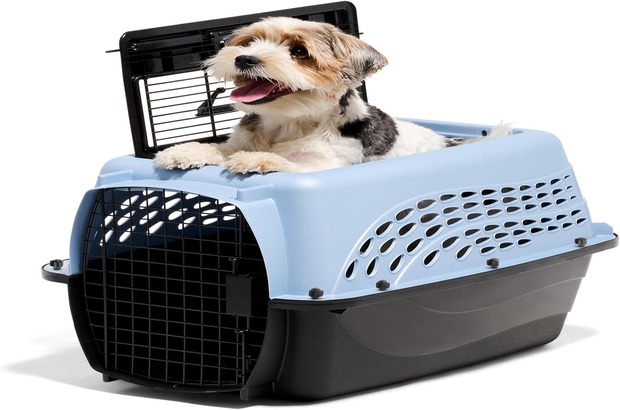 A small black, white and brown dog is halfway through the top grate door of a plastic crate. The front grate door remains locked. The plastic pet carrier is light blue on top and black on bottom.