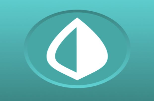 Mint, one of the essential apps for entrepreneurs.