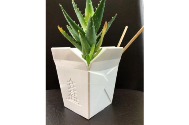 Large White Takeout Box Planter