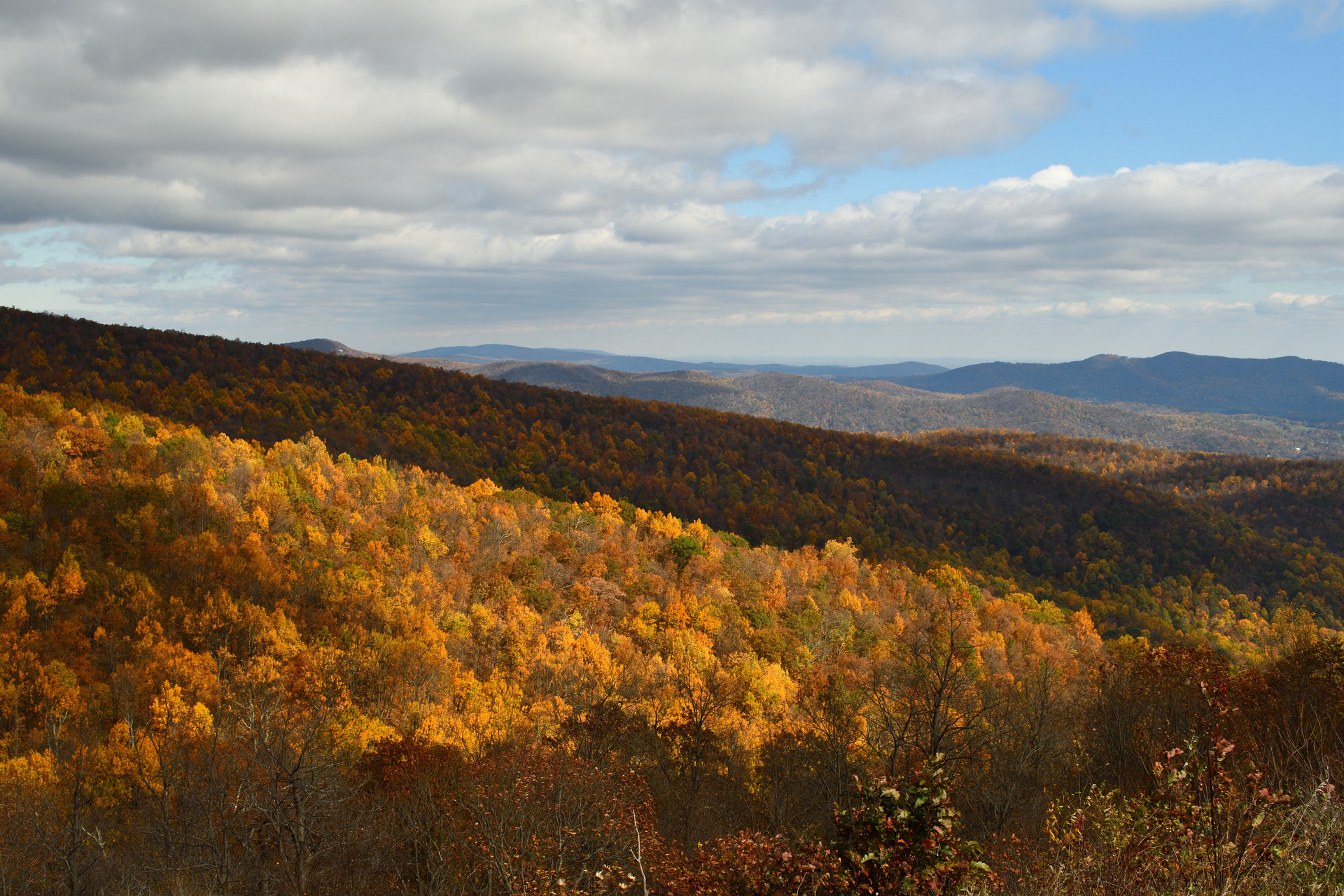 Shenandoah National Park's rolling hills and autumn-hued trees sit underneath a blue cloudy sky.