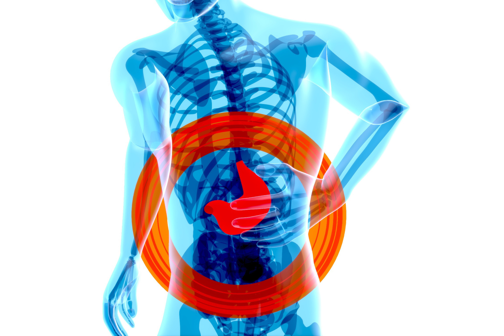 a blue skeletal structure showing intestinal distress