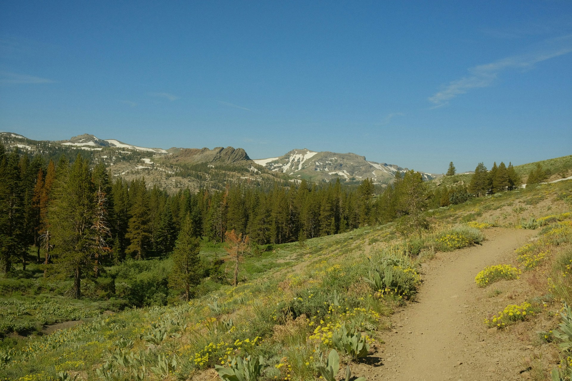 dirt path along the Pacific Coast Trail