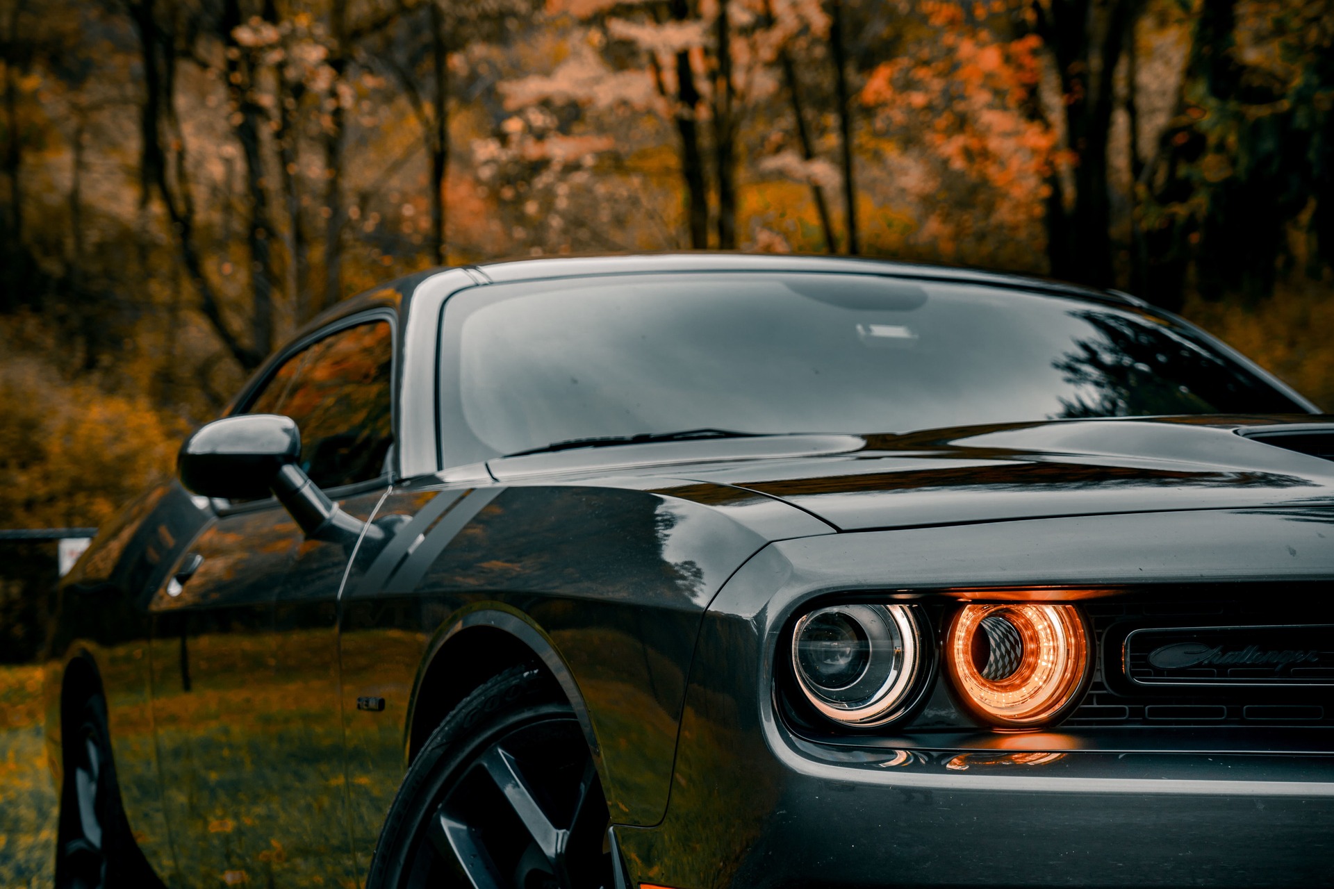 A closeup of a car in a PA forest