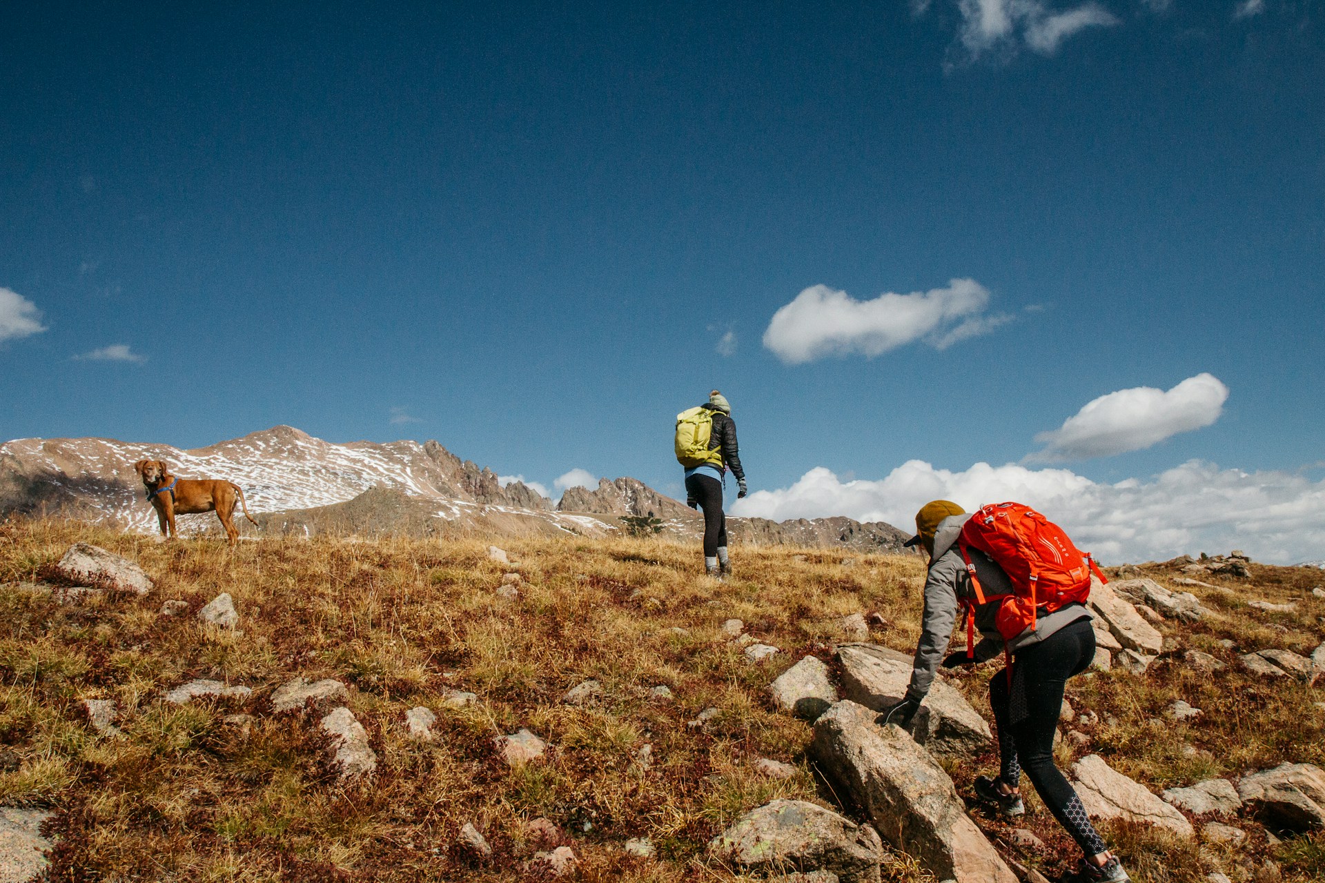 Two people and a dog climbing a small hill