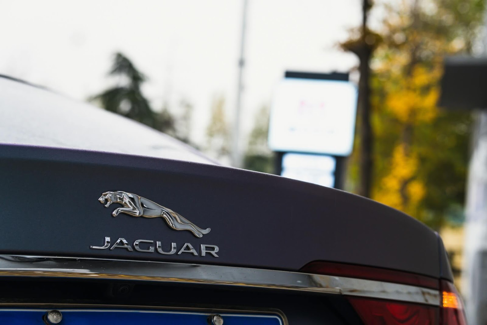 close-up of the Jaguar logo