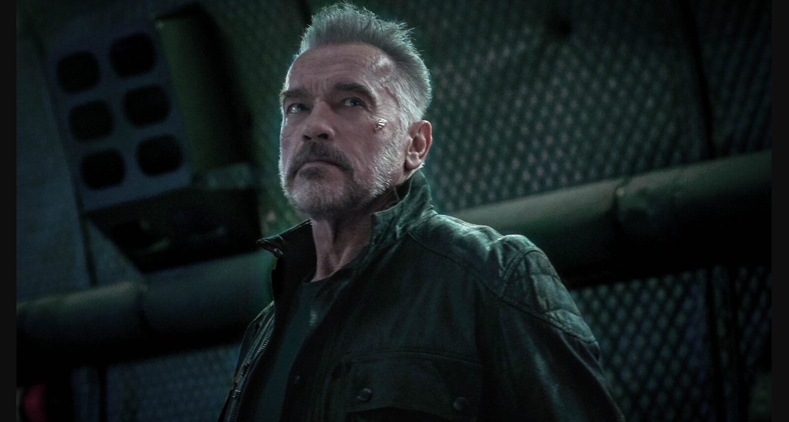 Arnold Schwarzenegger closeup