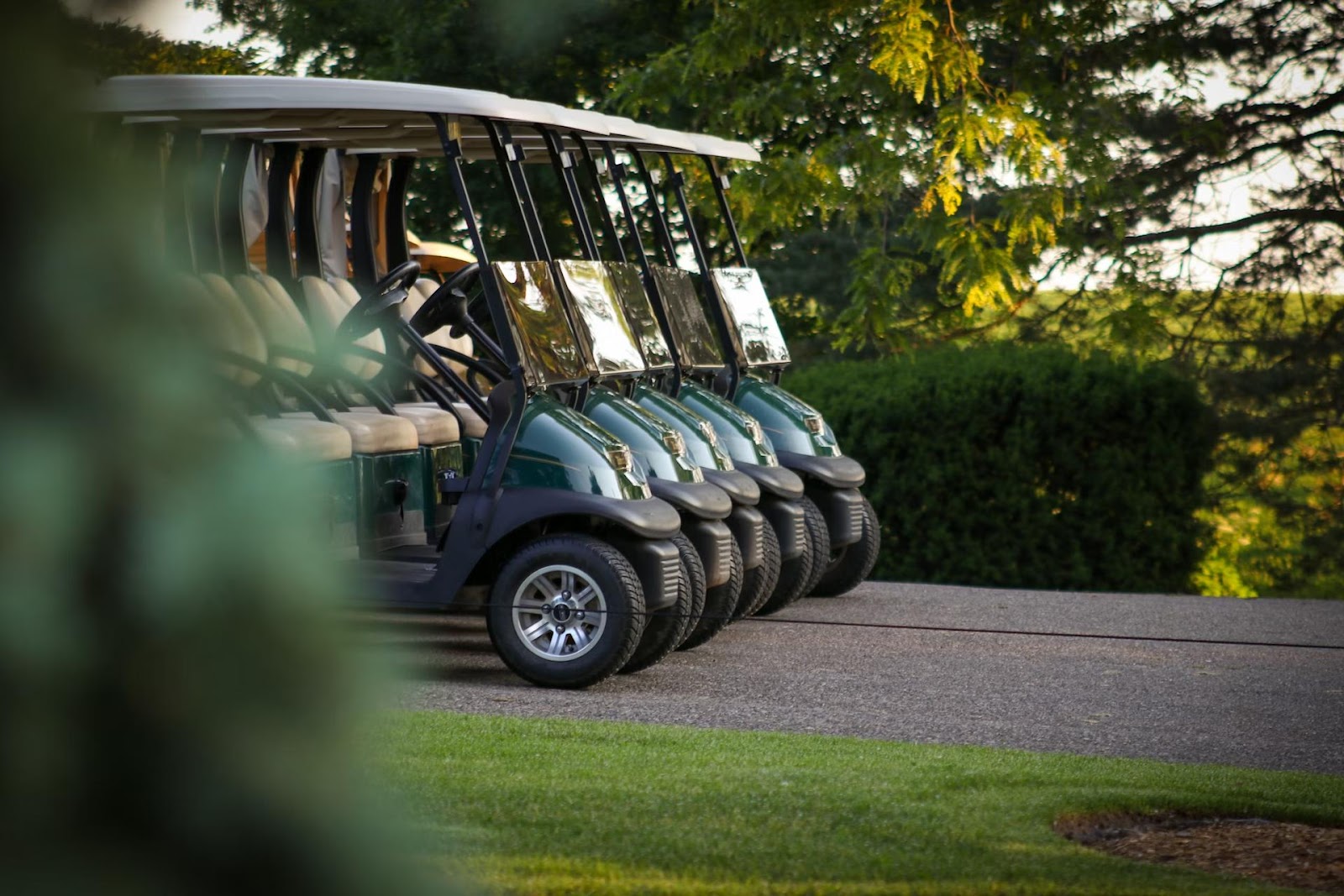 lined up golf carts