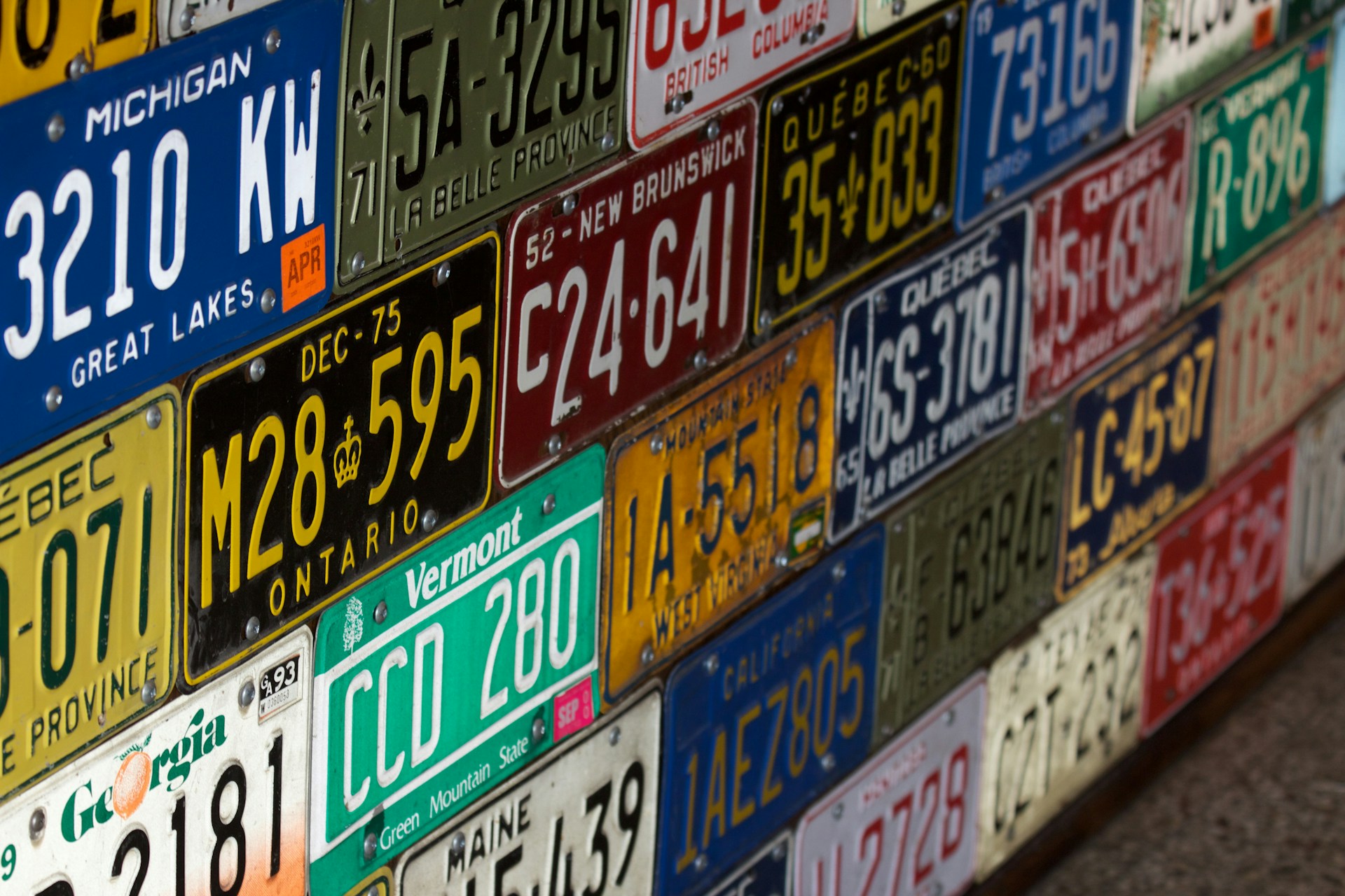 A collection of license plates