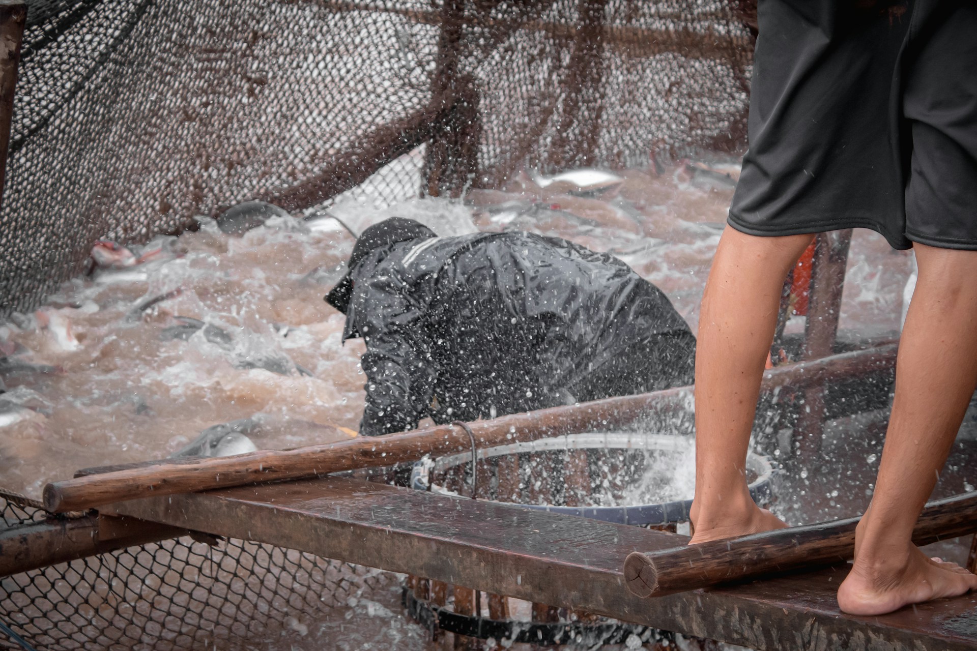 a fisherman crouching in the water