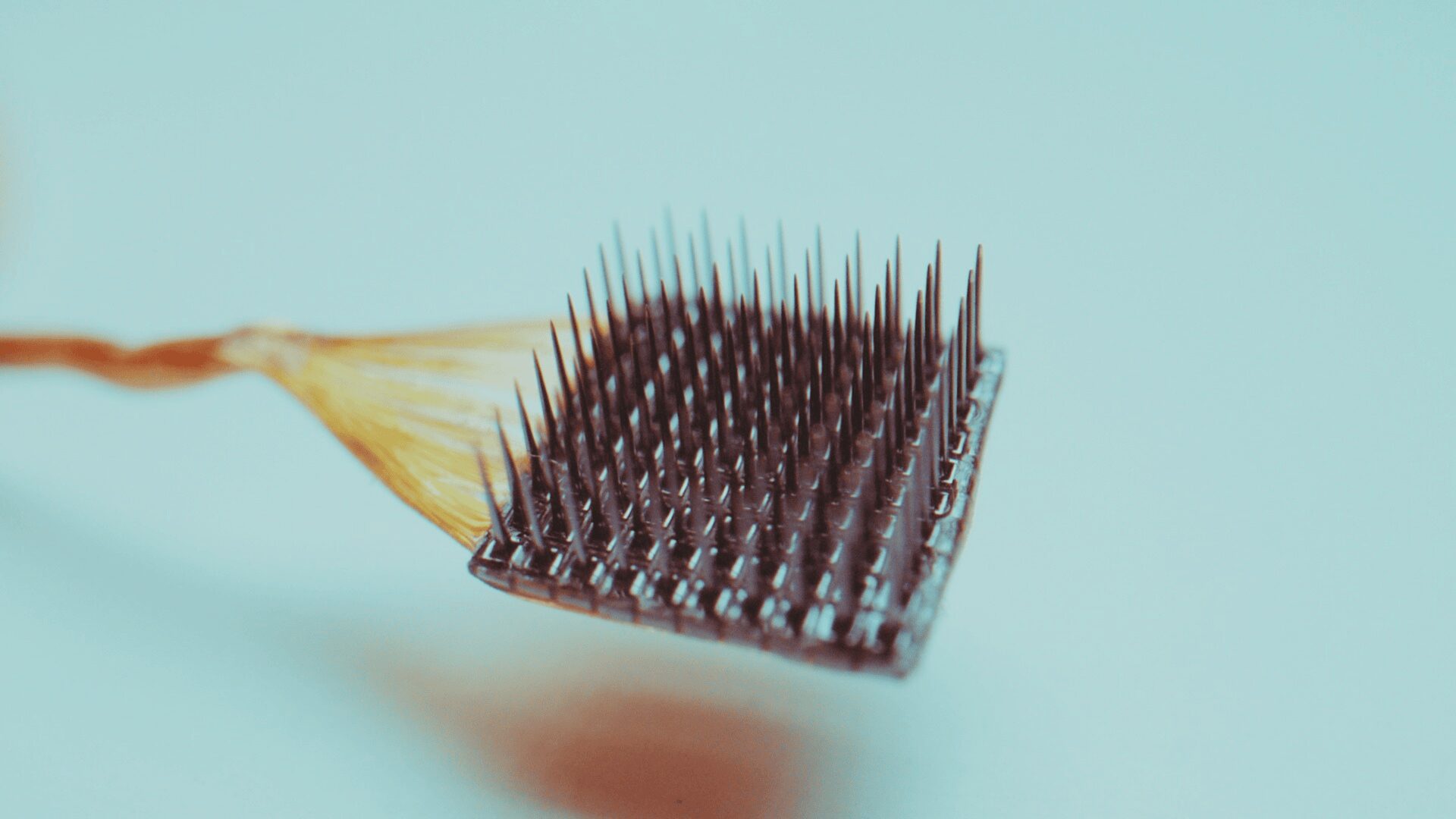 Blackrock Neurotech Neuroport Array