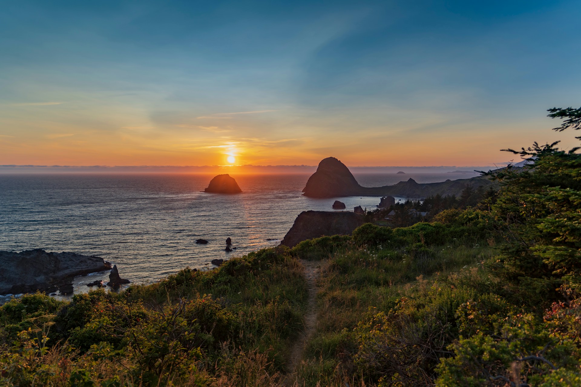 sea cliff overlooking the Pacific