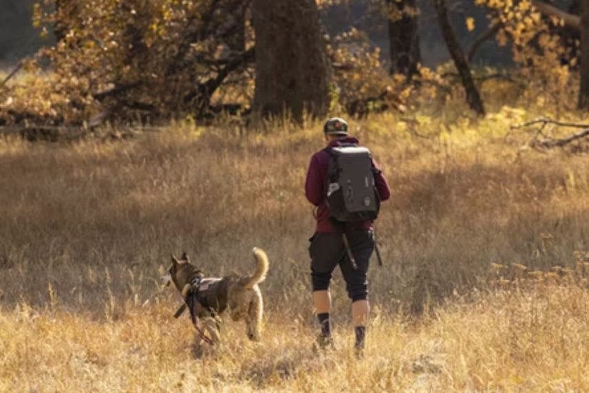 Off leash dog hike.