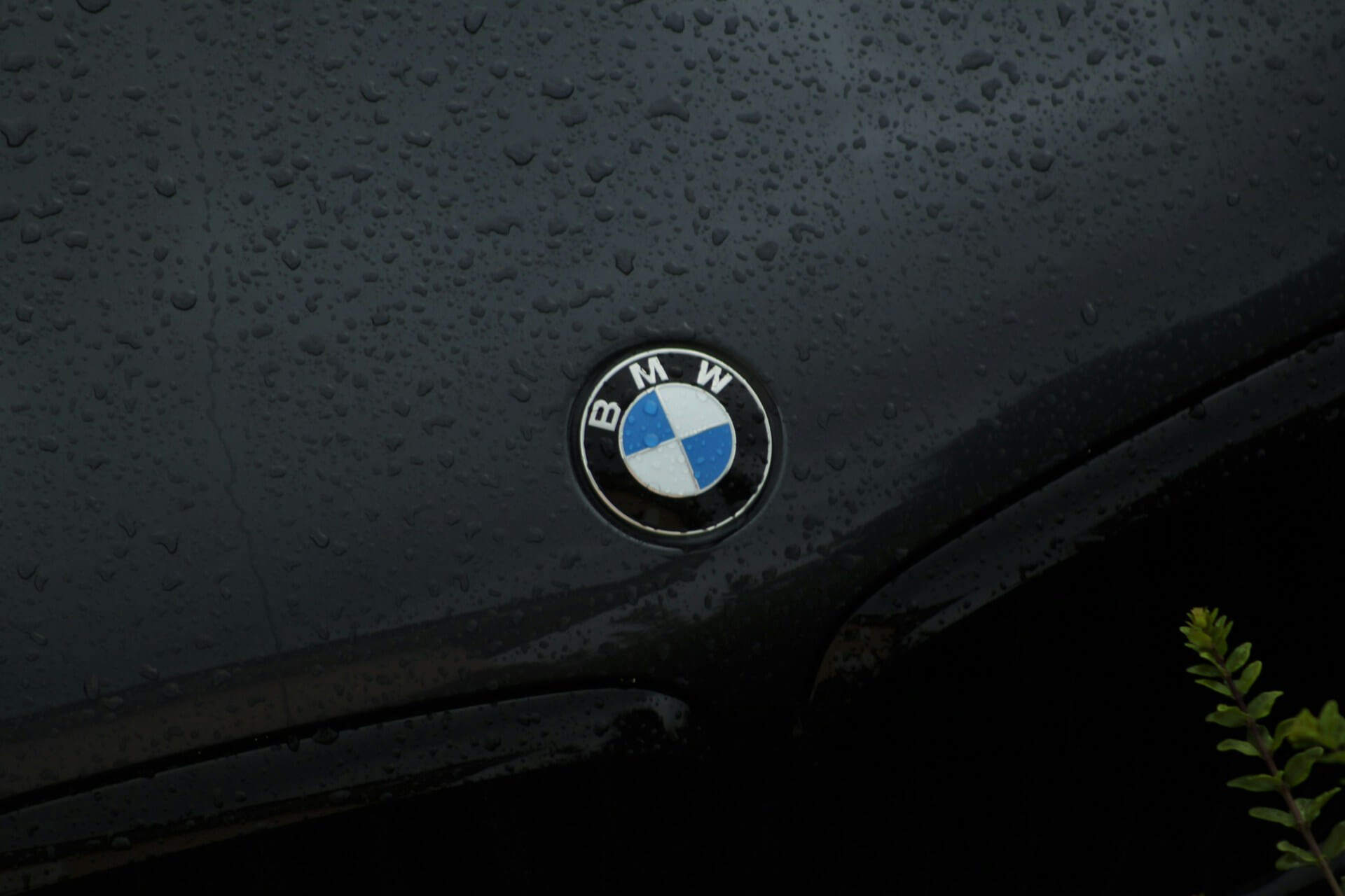 Hood of a BMW covered in raindrops
