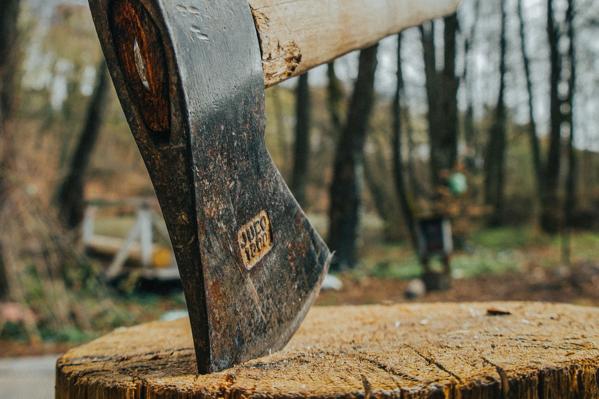 Rusty axe head