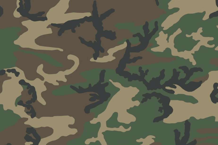 US Woodland Camo
