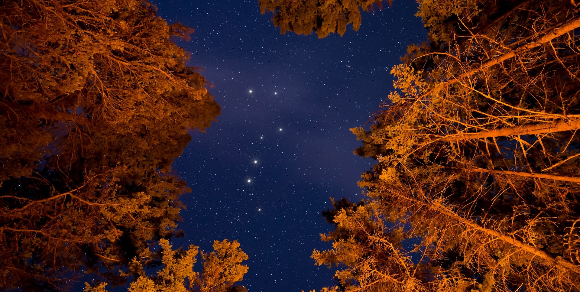 Be One With Nature: How to Navigate by the Stars