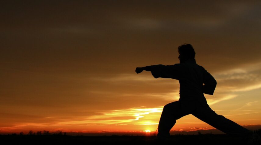 A person practicing martial arts is silhouetted against the sunset. Their stance is strong and focused, conveying determination and tranquility.