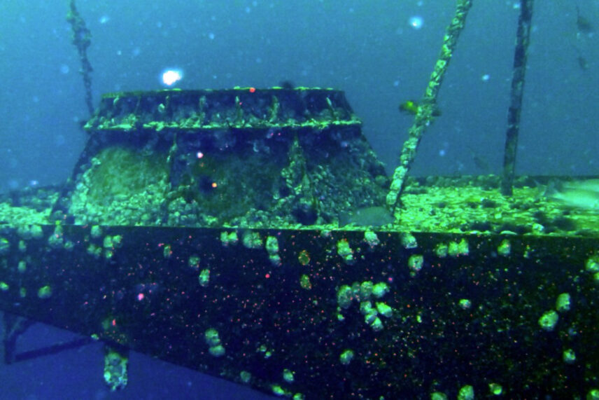 underwater wreck covered in algae