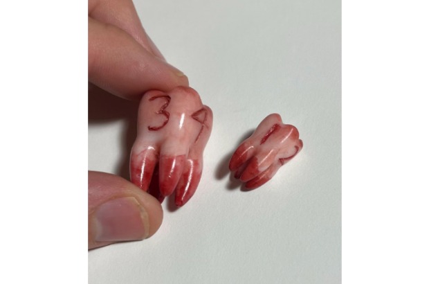 Tooth D4 Dice
