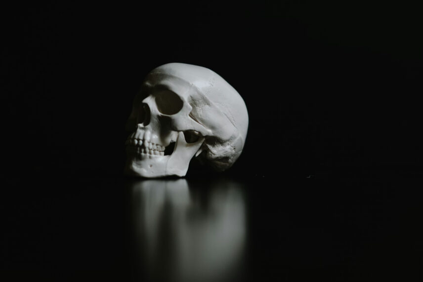 grayscale skull on black surface