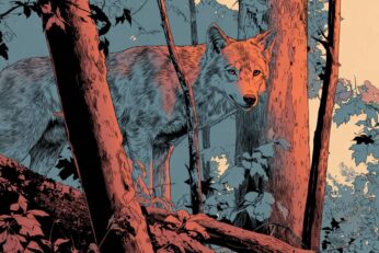 Illustration of wolf in a forest