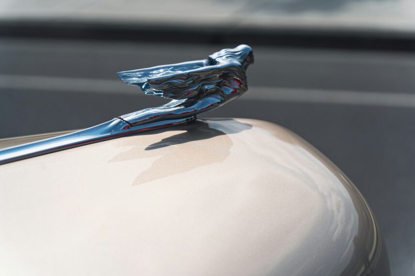 Flying ornament on car hood.