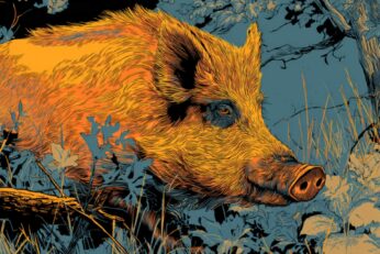 illustration of a wild hog