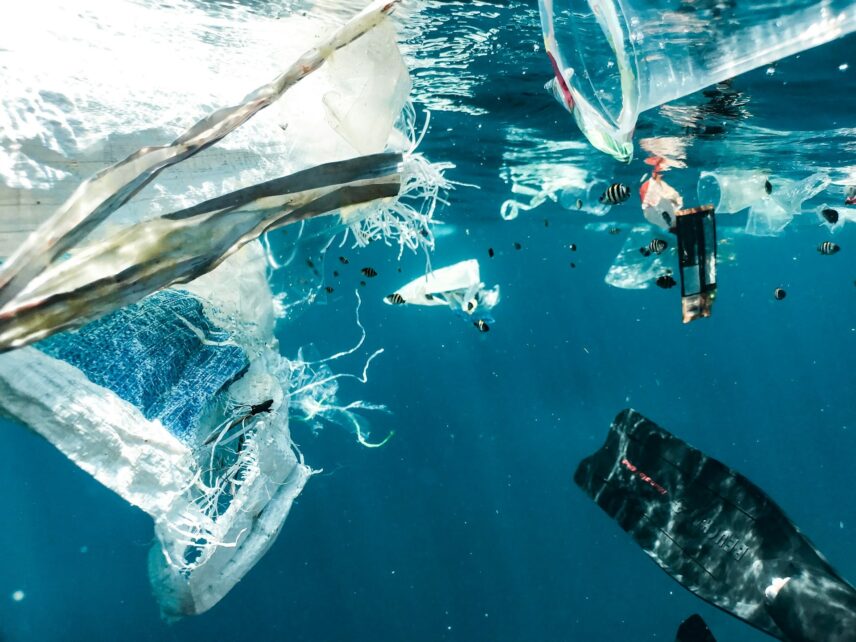 Close-up of plastic items scattered on the ocean's surface, emphasizing the urgent issue of plastic pollution in marine ecosystems.