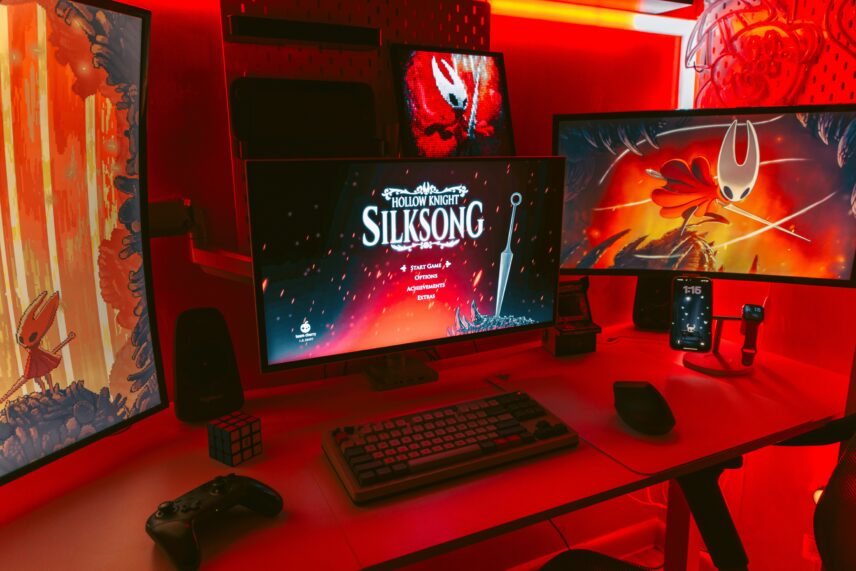 Hollow Knight Silksong on computer