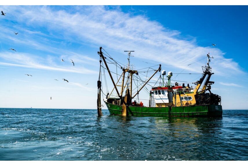 Dangers lurk for those intent on catching fish in the open sea.