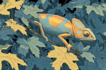 illustration of a chameleon