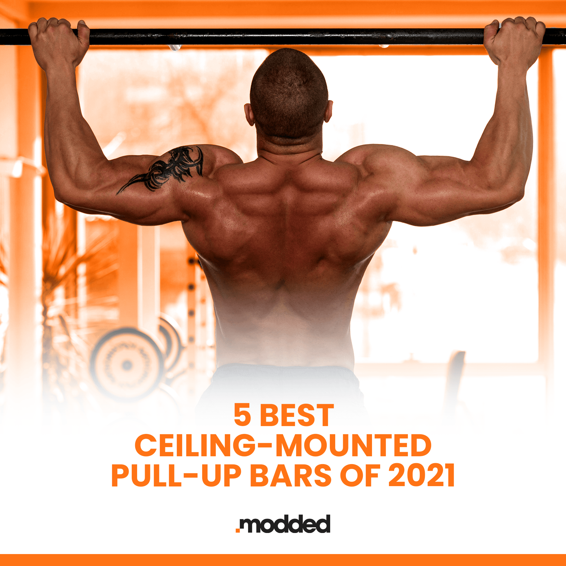 7 Best Ceiling-Mounted Pull-Up Bars of 2024 - Modded