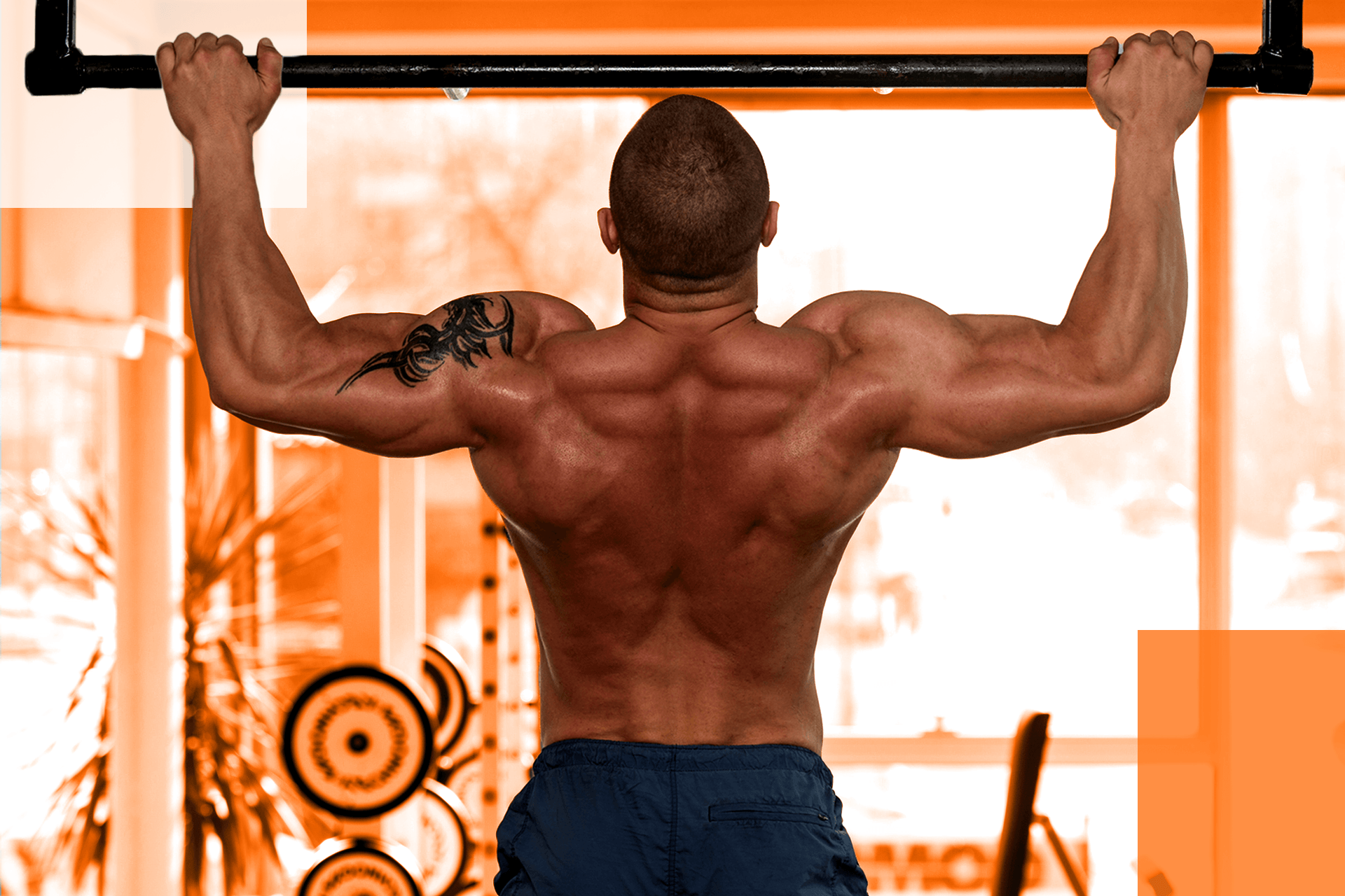 Featured-5 Best Ceiling-Mounted Pull-Up Bars of 2021 copy