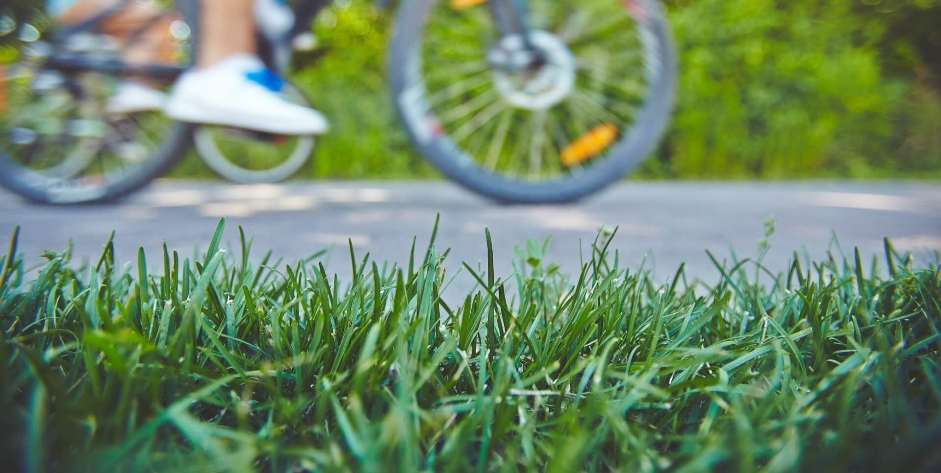 green-grass-on-the-lawn-and-human-on-bicycle-on-background-SBI-306006792 (1) (1)