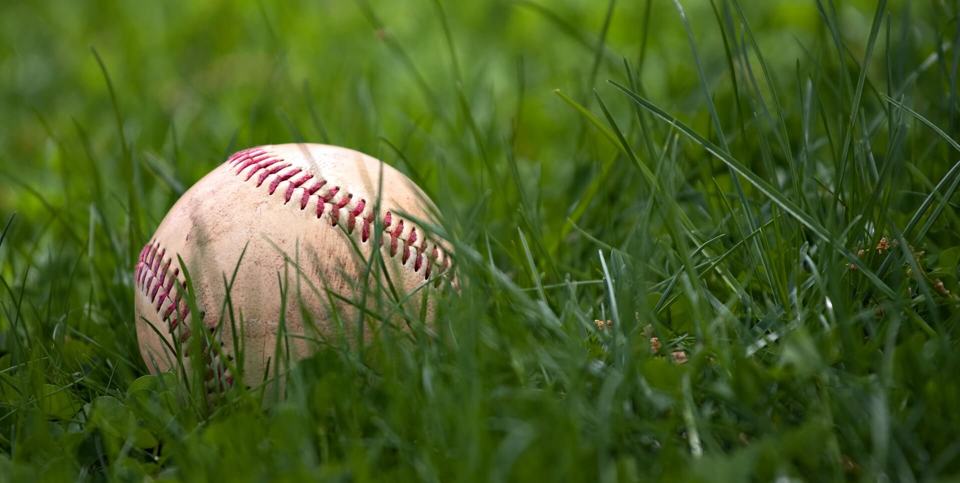 Baseball in grass.