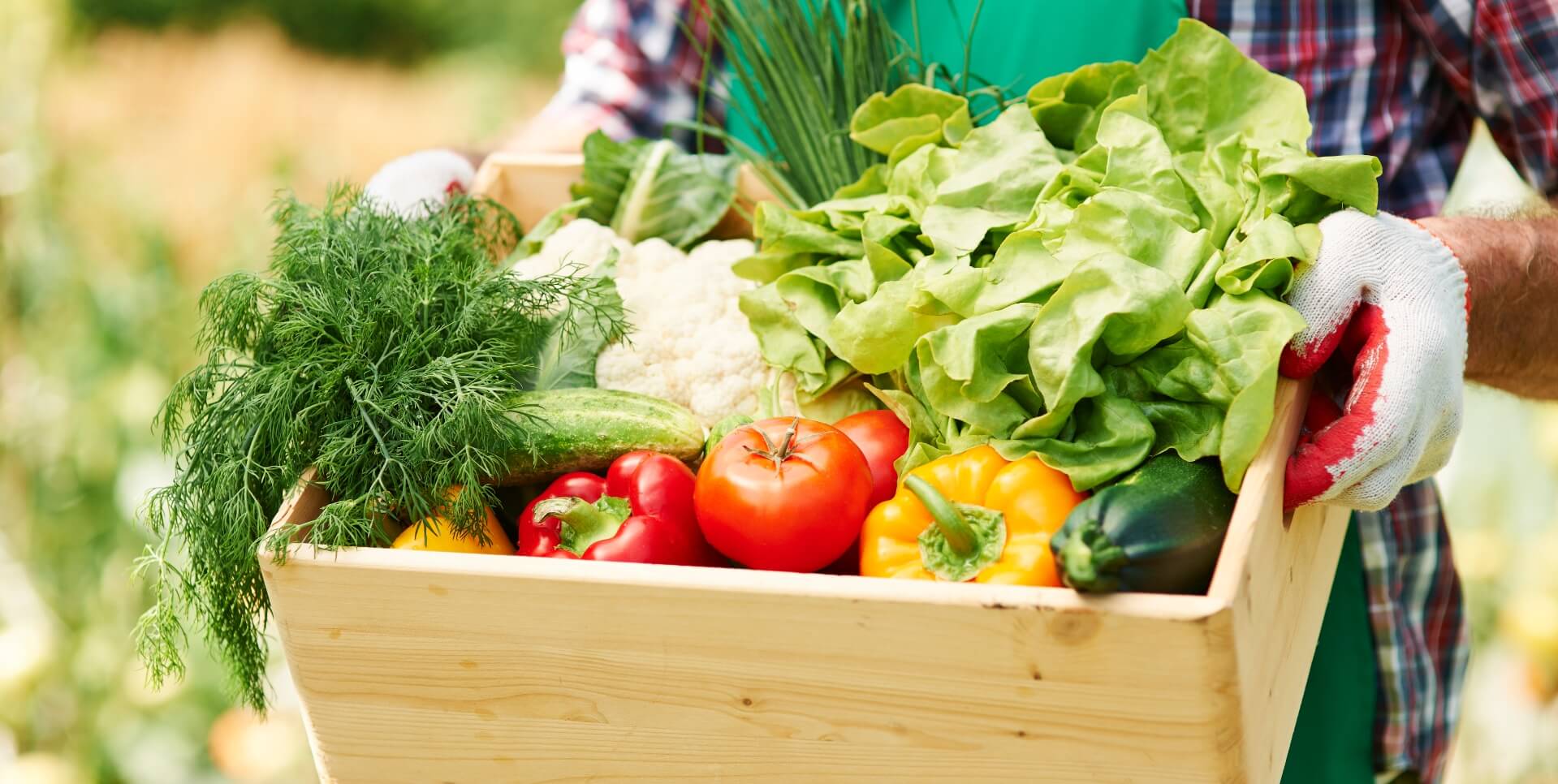 Crate full of vegetables.
