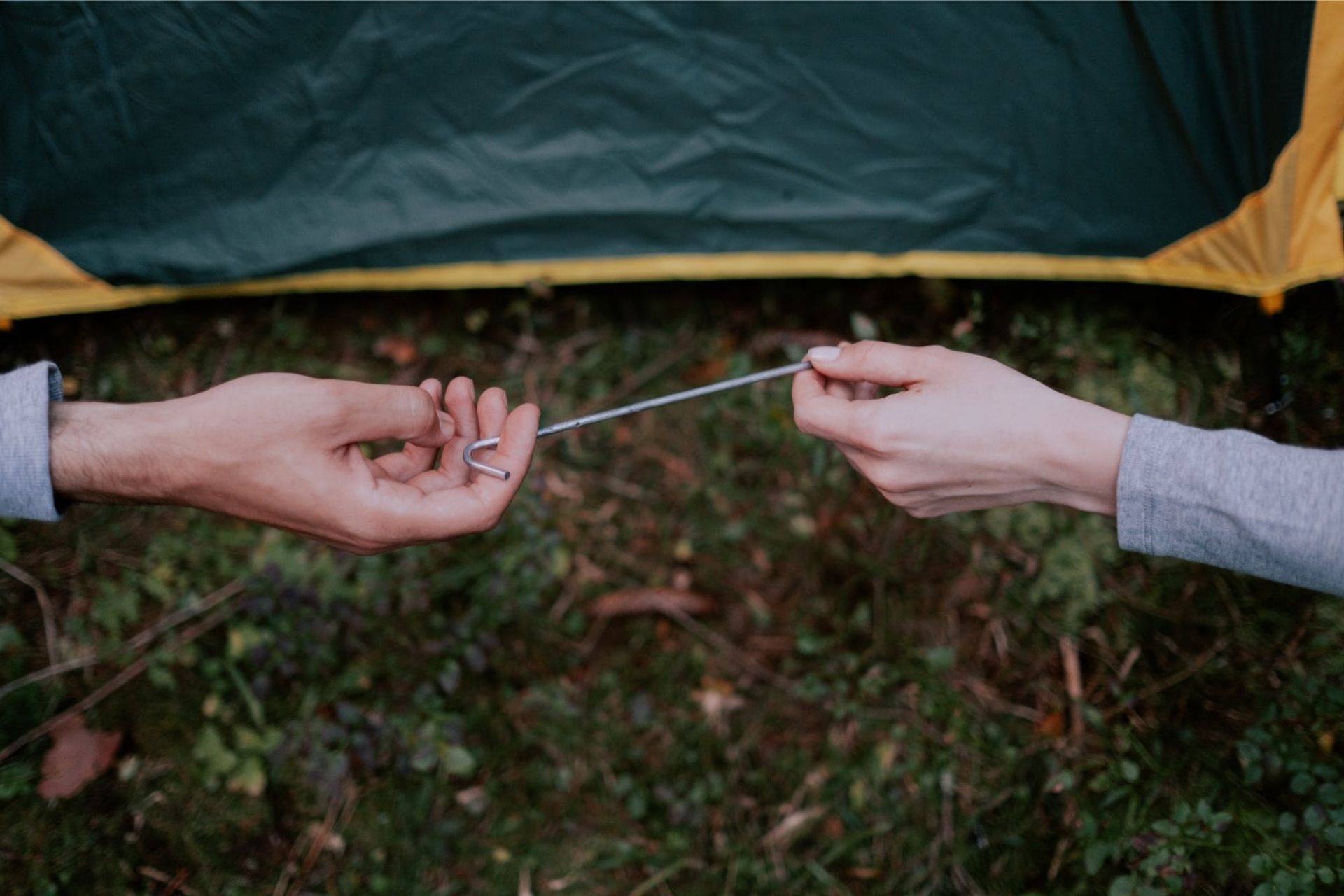 why-you-need-a-10-person-tent-on-your-next-camping-trip