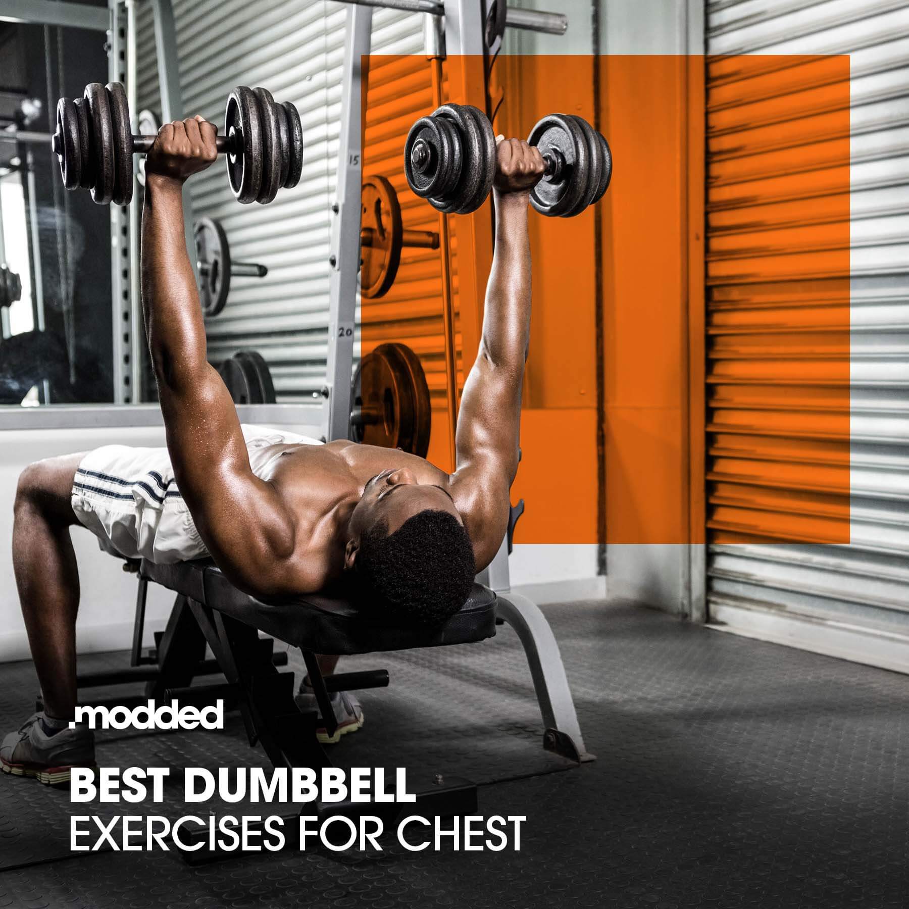 Best Dumbbell Exercises for Chest Modded