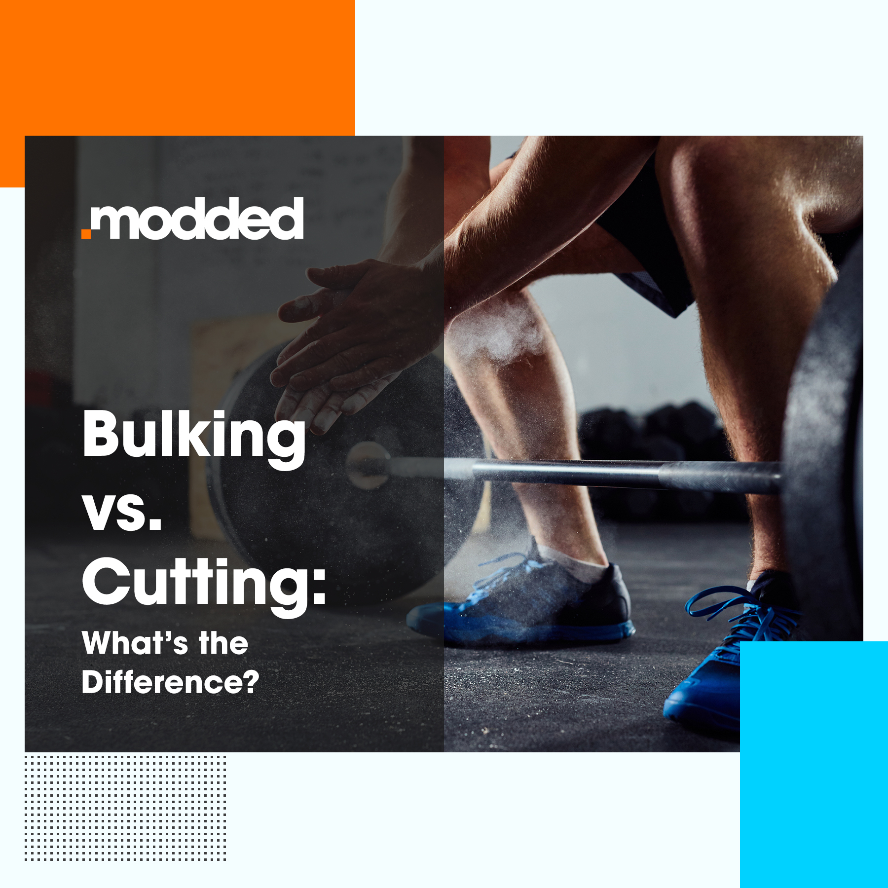 Bulking Vs. Cutting: What's The Difference? - Modded