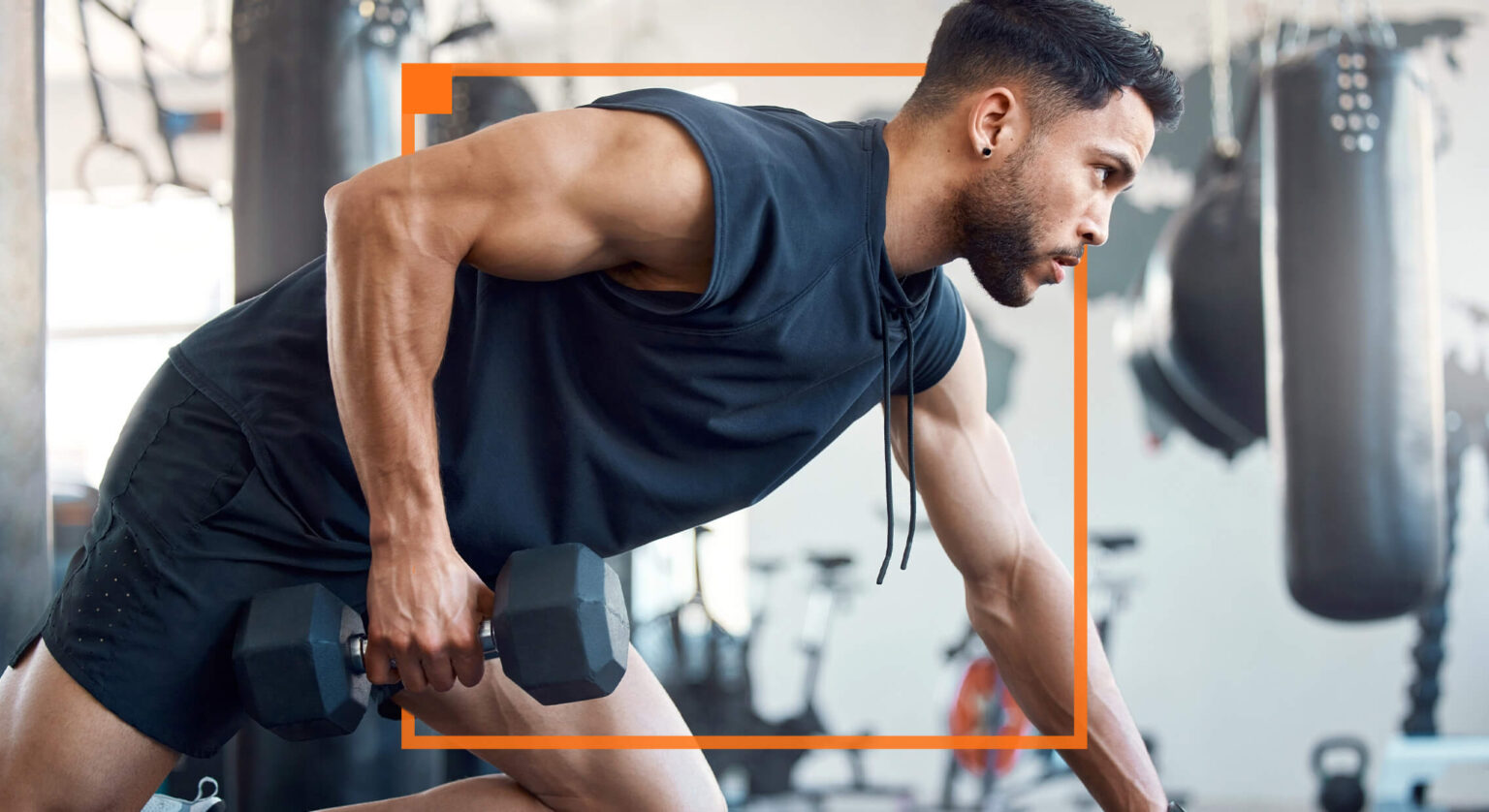 Complete List of Free Weight Exercises Modded