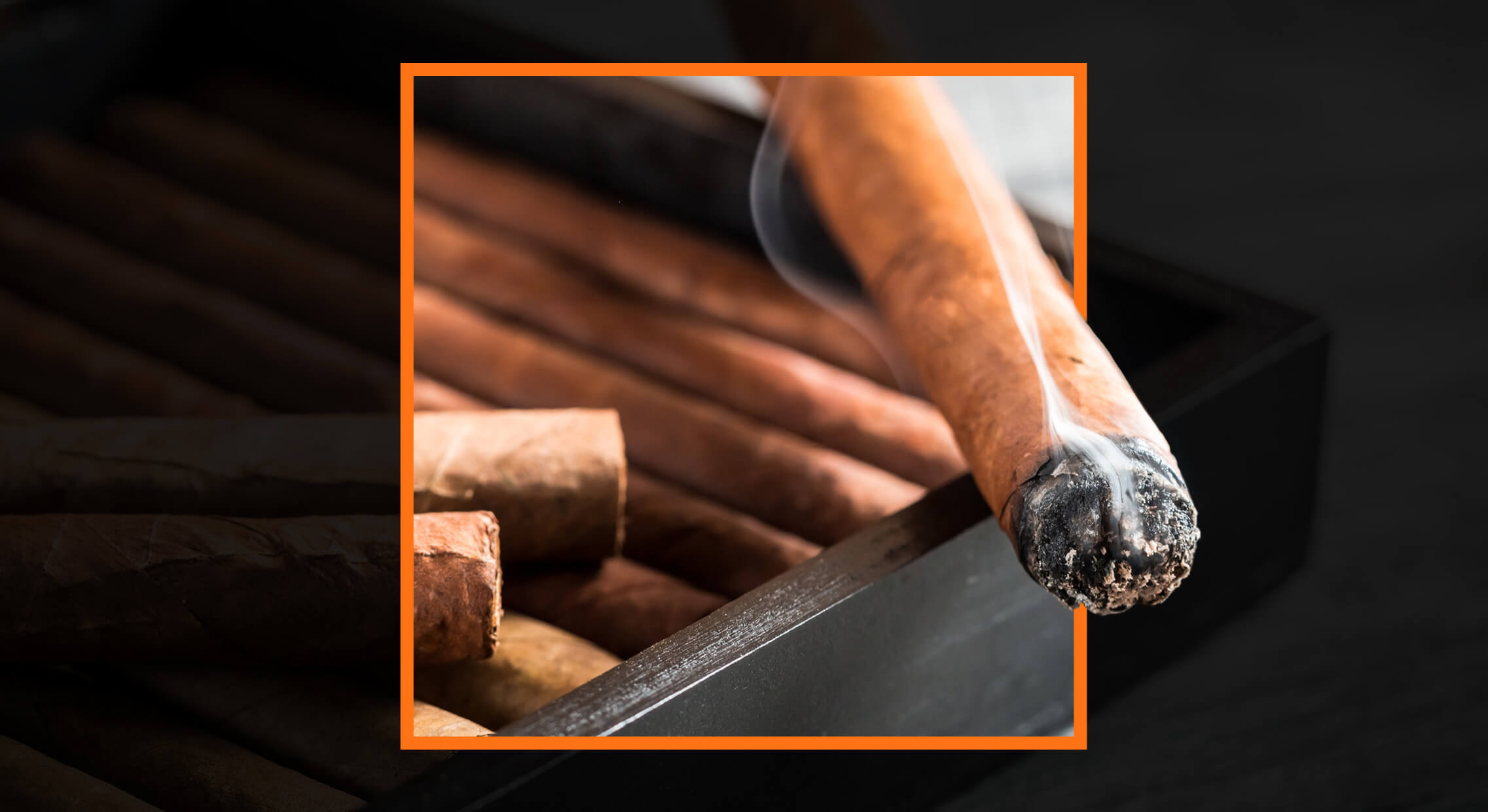 Feature-A-Complete-Guide-to-Cigars-for-Beginners