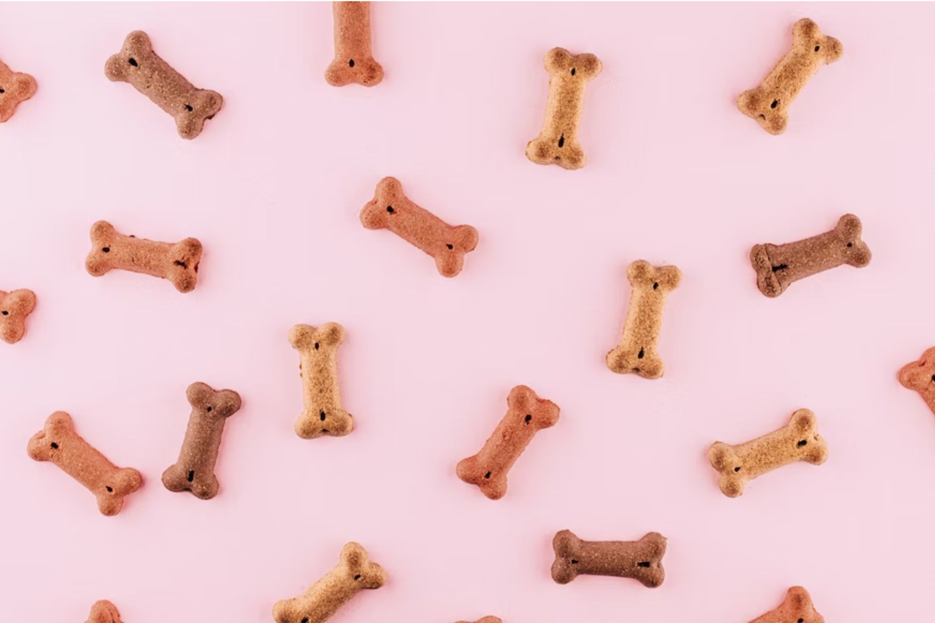 Dog treats on a pink background.
