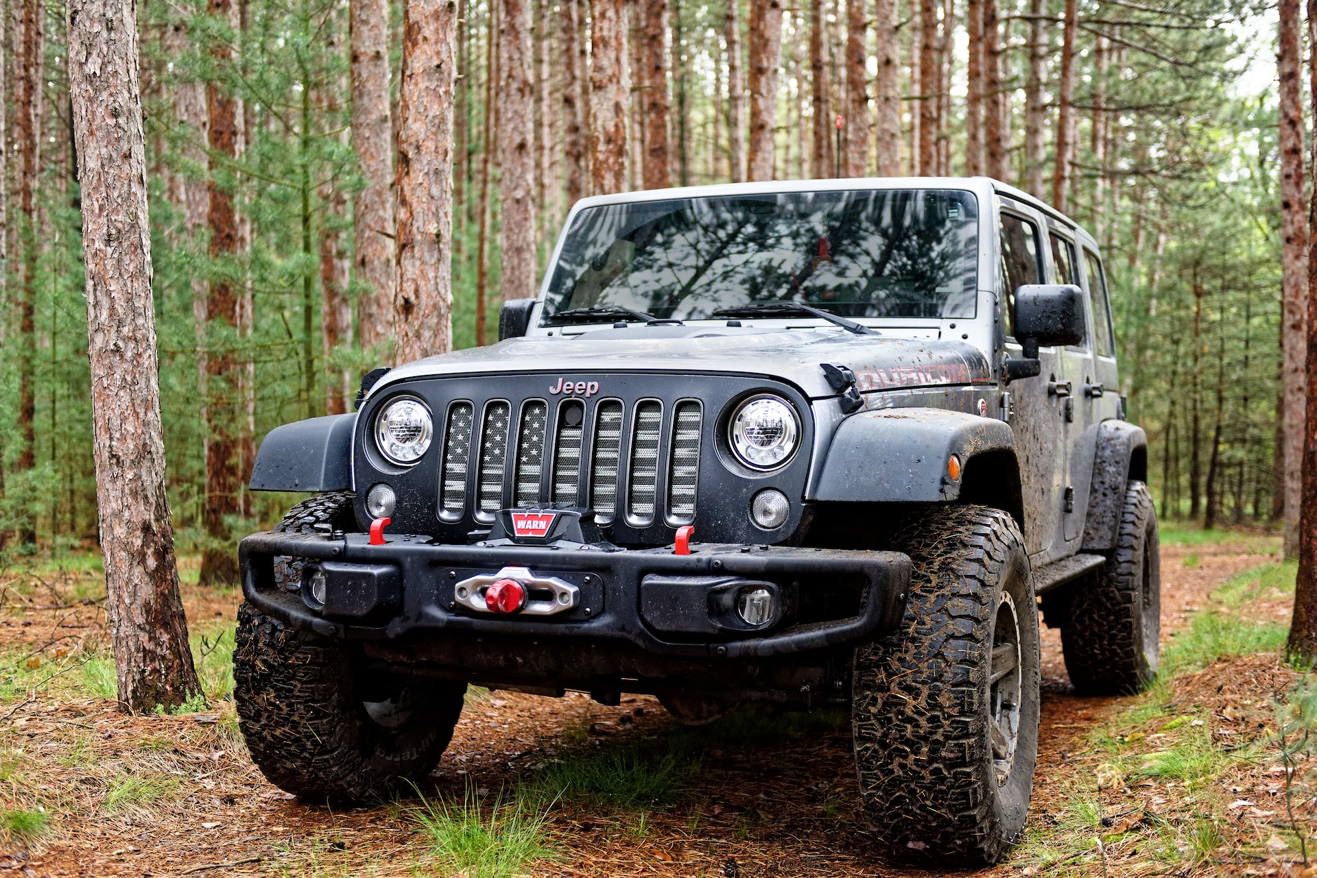Jeep in the woods.