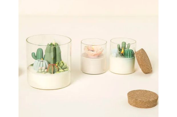 Scented soy wax plant candles