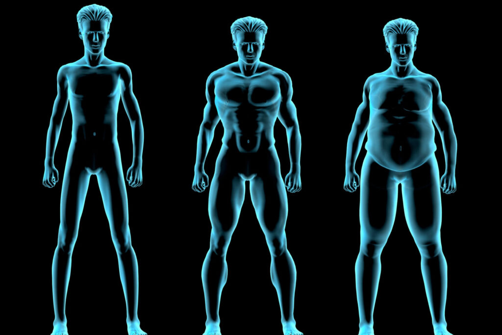 Computer generated image of different male body types. 