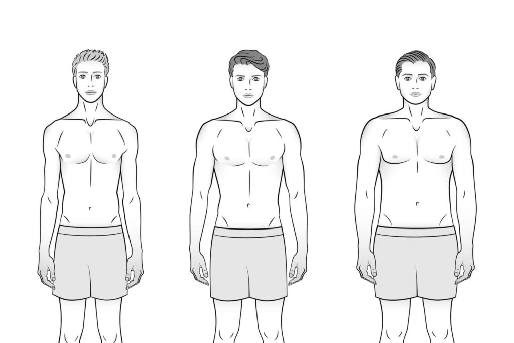 Different male body types.